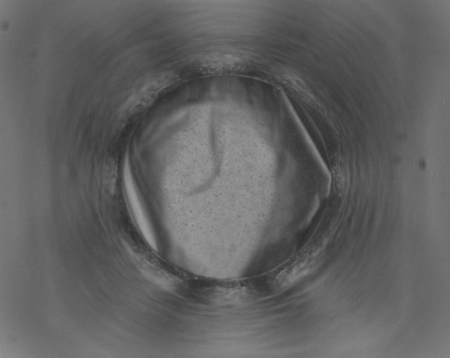 X0000077350458200611031825