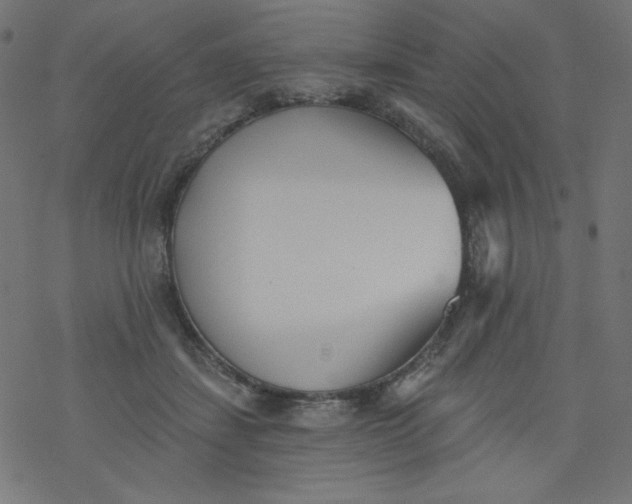 X0000077350459200611031825