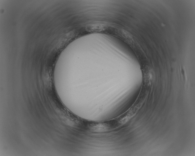 X0000077350460200611031825