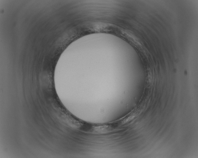 X0000077350461200611031825