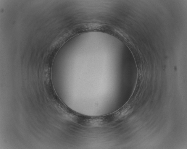 X0000077350462200611031825