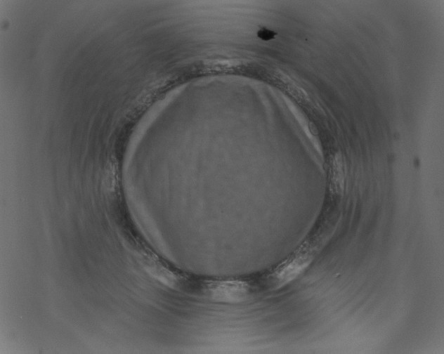 X0000077350463200611031825