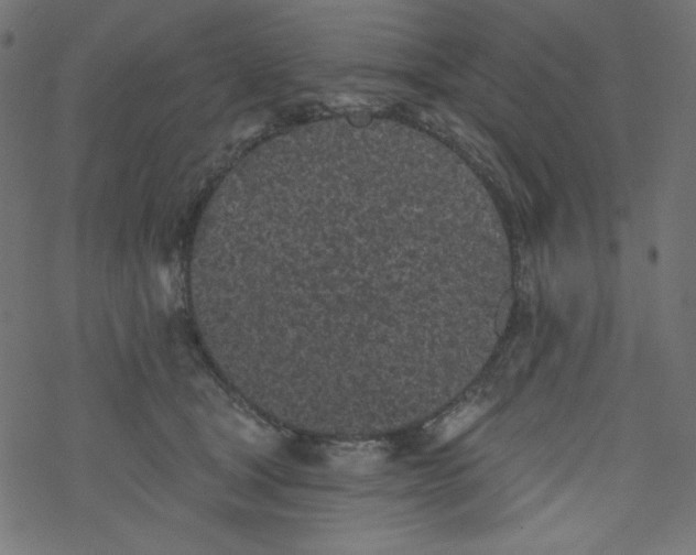 X0000077350465200611031825