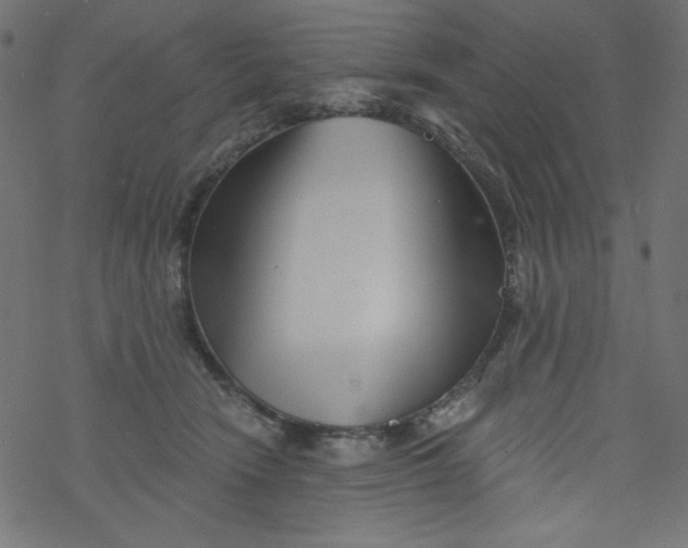 X0000077350466200611031825