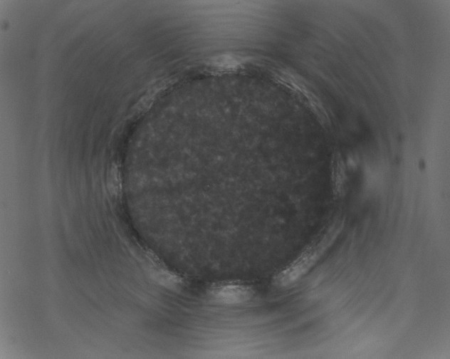 X0000077350467200611031825