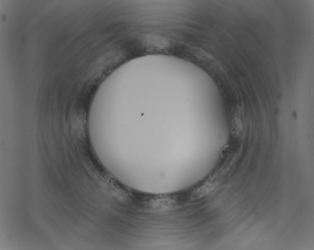 X0000077350468200611031825