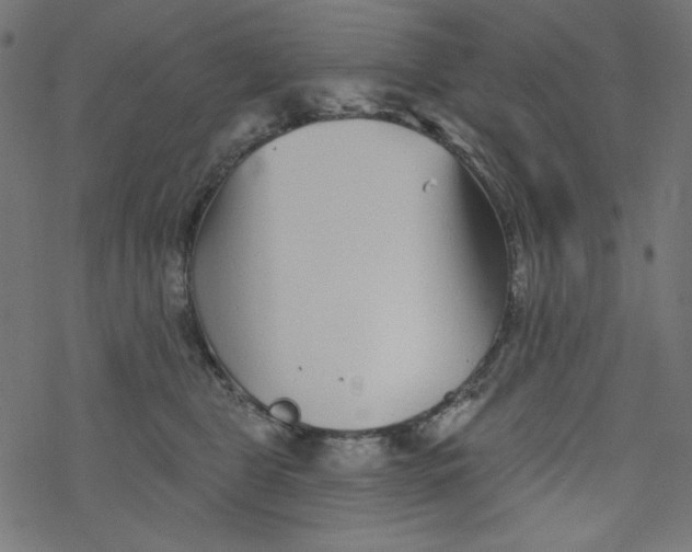 X0000077350469200611031825