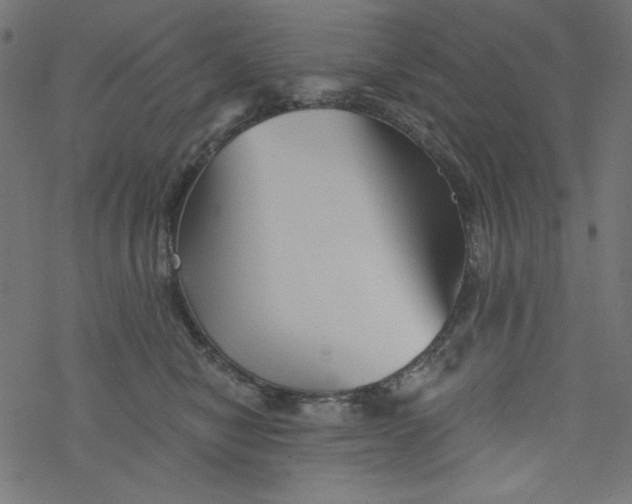 X0000077350470200611031825