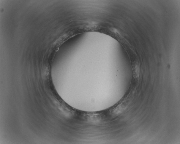 X0000077350472200611031826