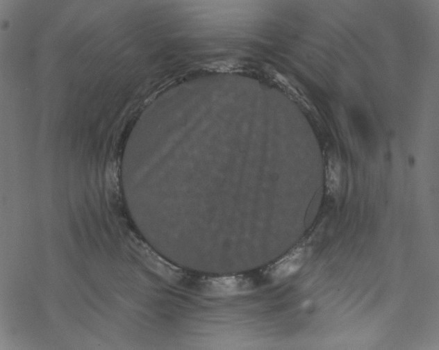 X0000077350473200611031826