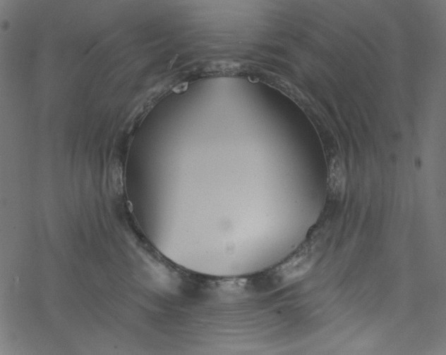 X0000077350474200611031826