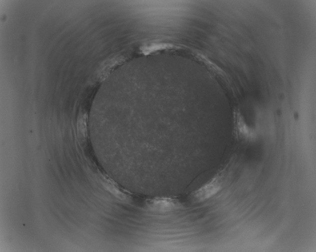 X0000077350475200611031826