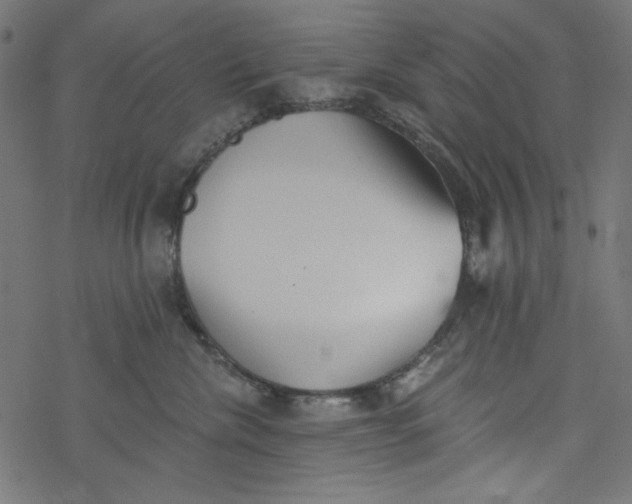 X0000077350476200611031826