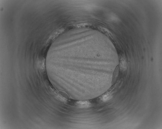 X0000077350477200611031826