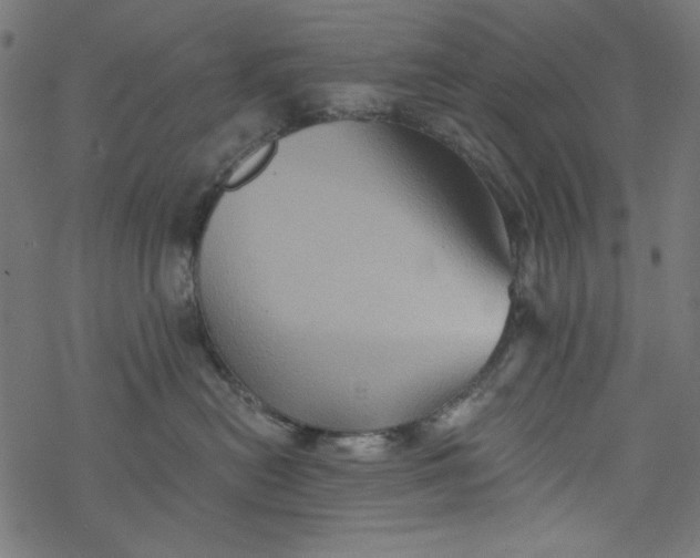 X0000077350478200611031826