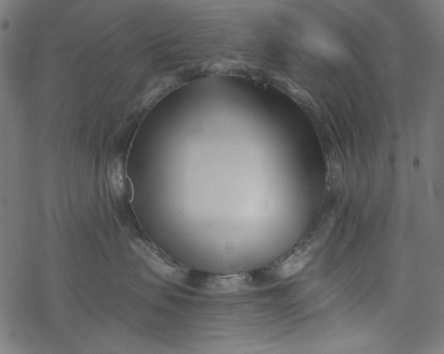 X0000077350479200611031826