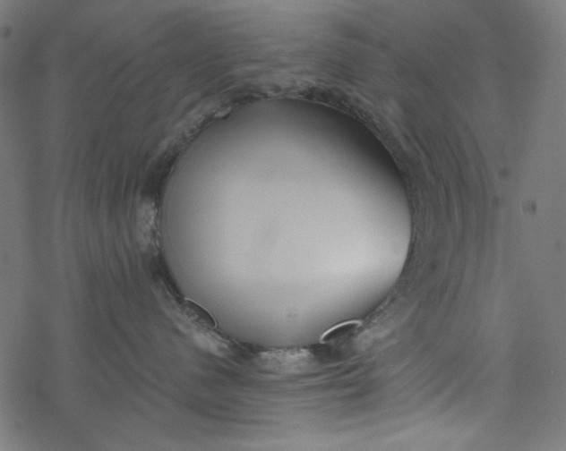 X0000077350480200611031826