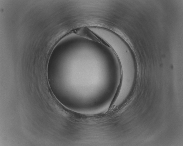 X0000077350481200611031825