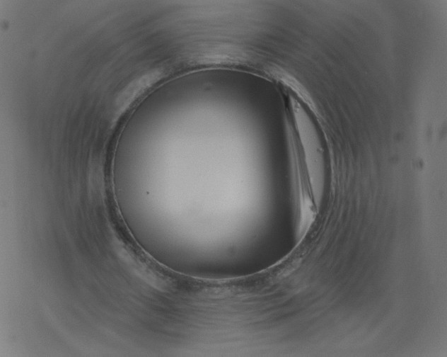 X0000077350482200611031825