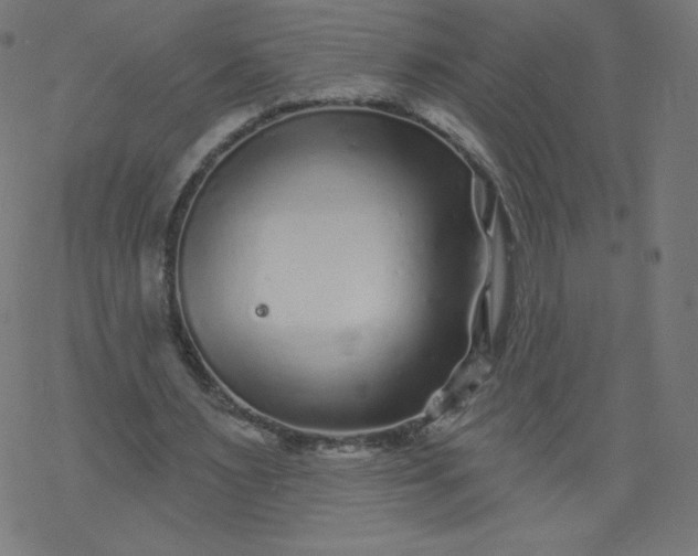 X0000077350483200611031825