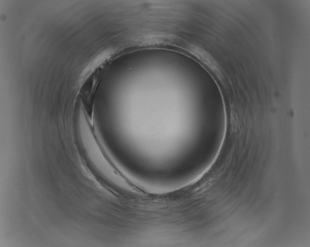 X0000077350485200611031825