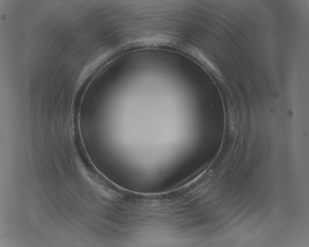 X0000077350486200611031825