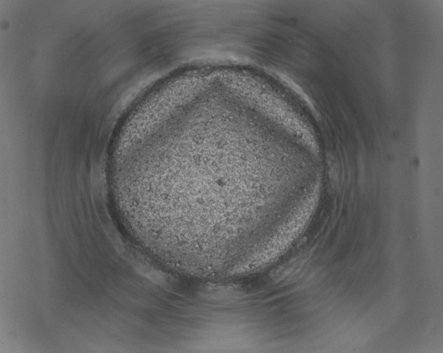 X0000077350487200611031825