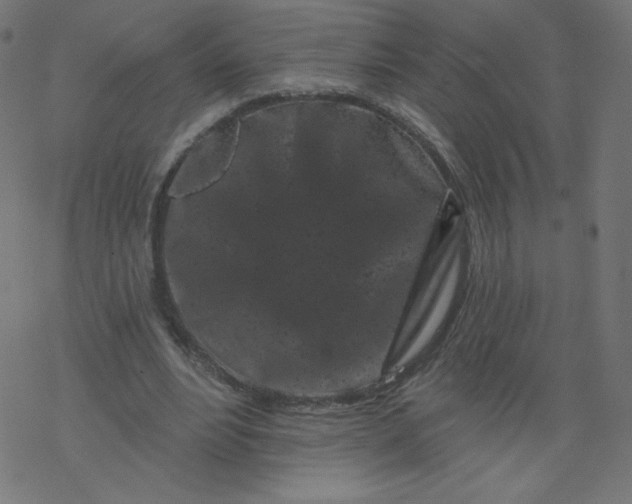 X0000077350488200611031825