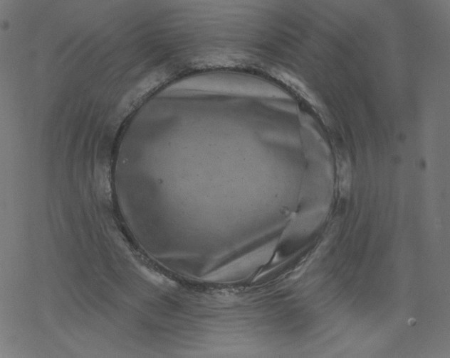 X0000077350489200611031825