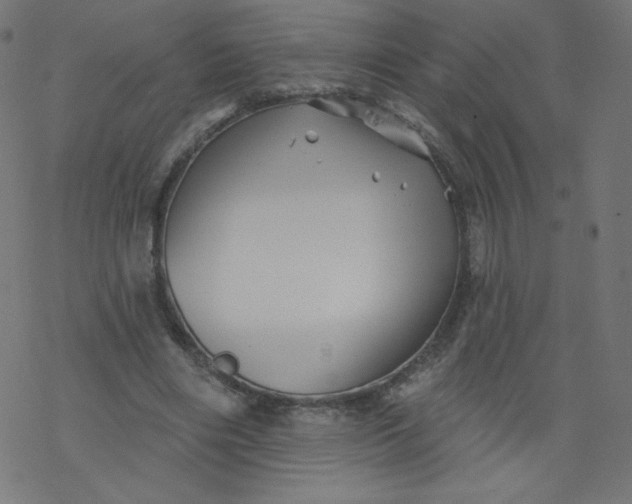 X0000077350490200611031825