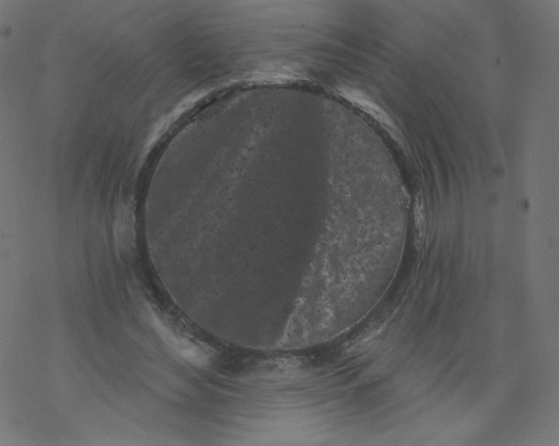 X0000077350492200611031825