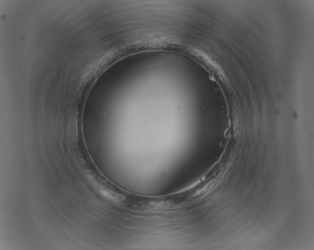 X0000077350493200611031825