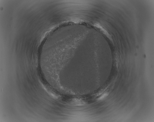 X0000077350496200611031825