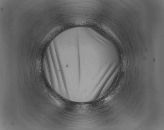 X0000077350497200611031825