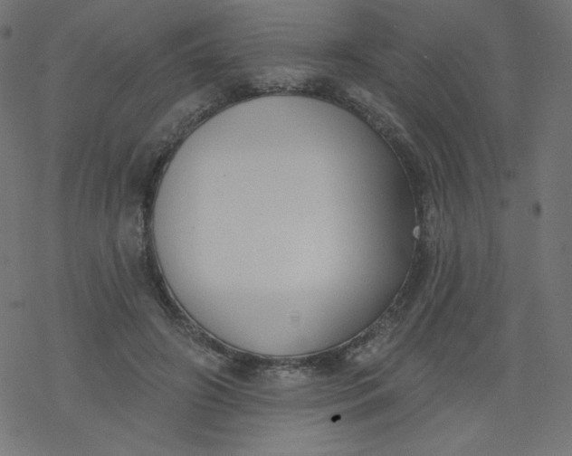 X0000077350498200611031825