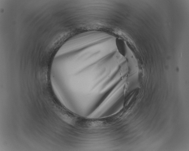 X0000077350501200611031825