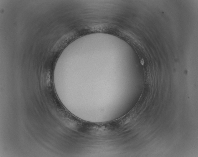 X0000077350502200611031825