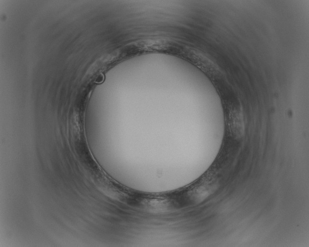 X0000077350506200611031824