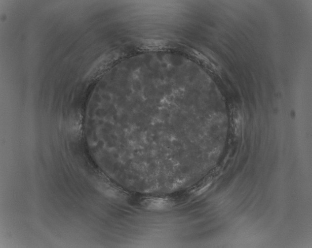 X0000077350507200611031824