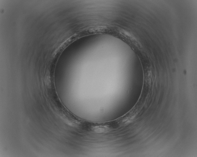 X0000077350508200611031824