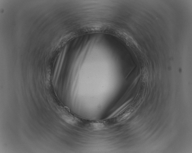 X0000077350509200611031824