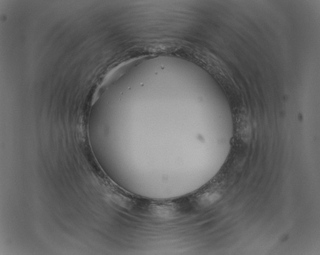 X0000077350510200611031824