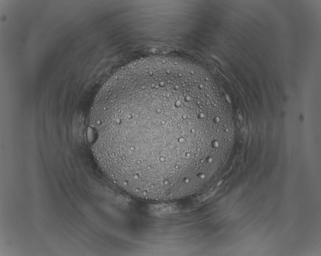 X0000077350511200611031824