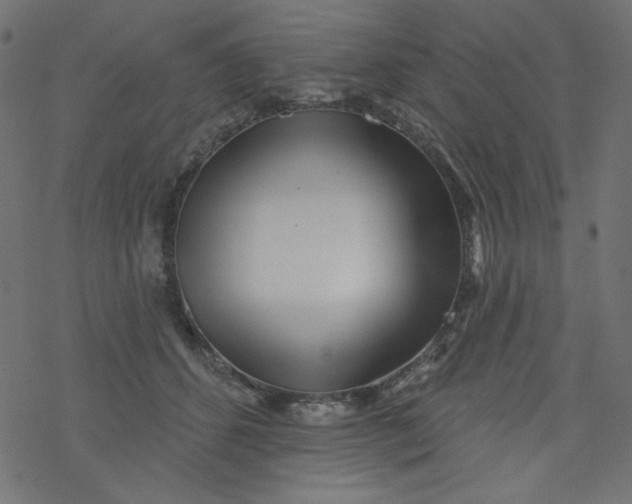 X0000077350512200611031824