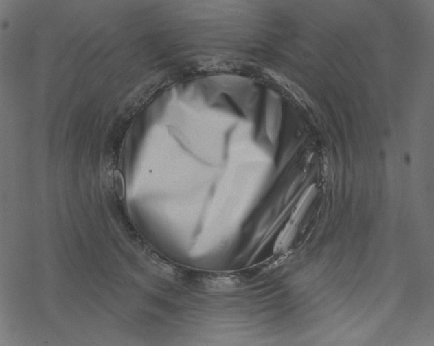 X0000077350513200611031824