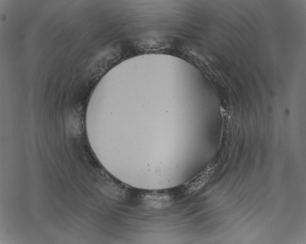 X0000077350515200611031824