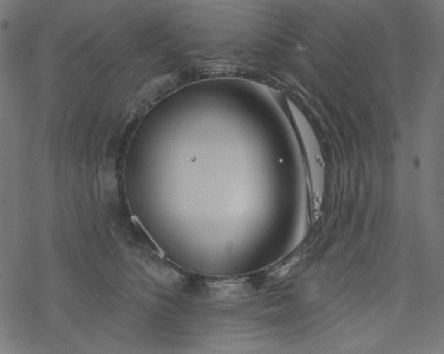 X0000077350516200611031824