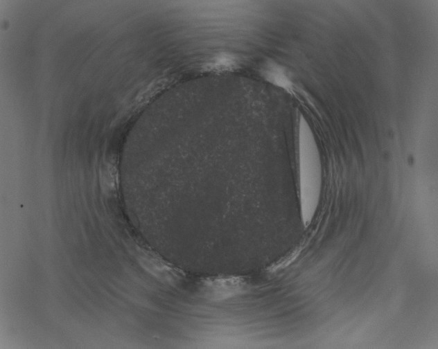 X0000077350517200611031824