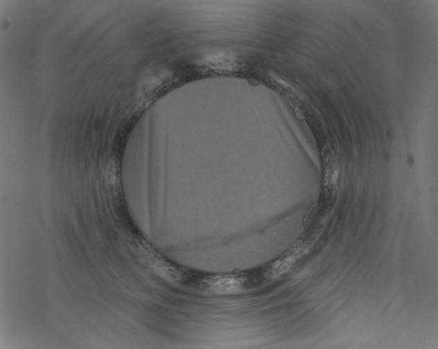 X0000077350518200611031824