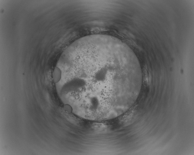 X0000077350519200611031824